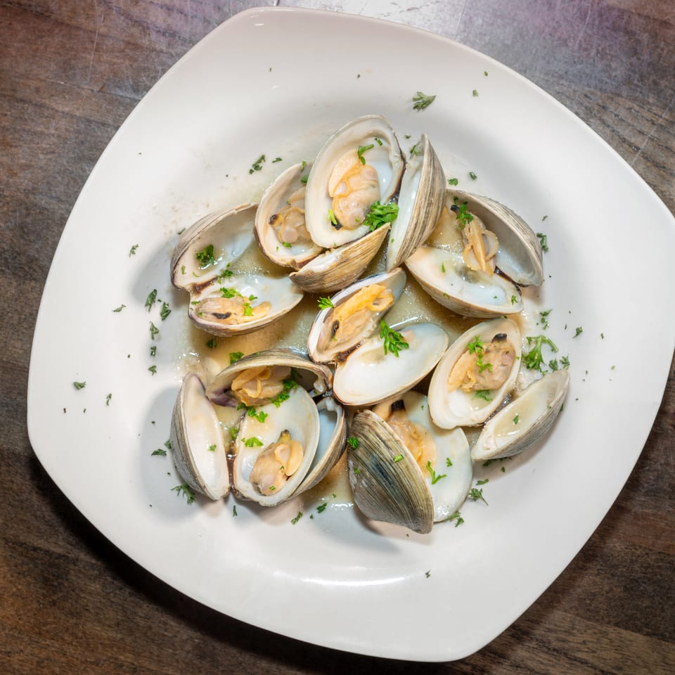 Steamed clams in a white sauce with parsley on a white rectangular plate.