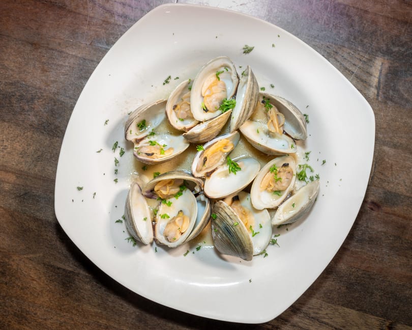 Steamed clams in a white sauce with parsley on a white rectangular plate.